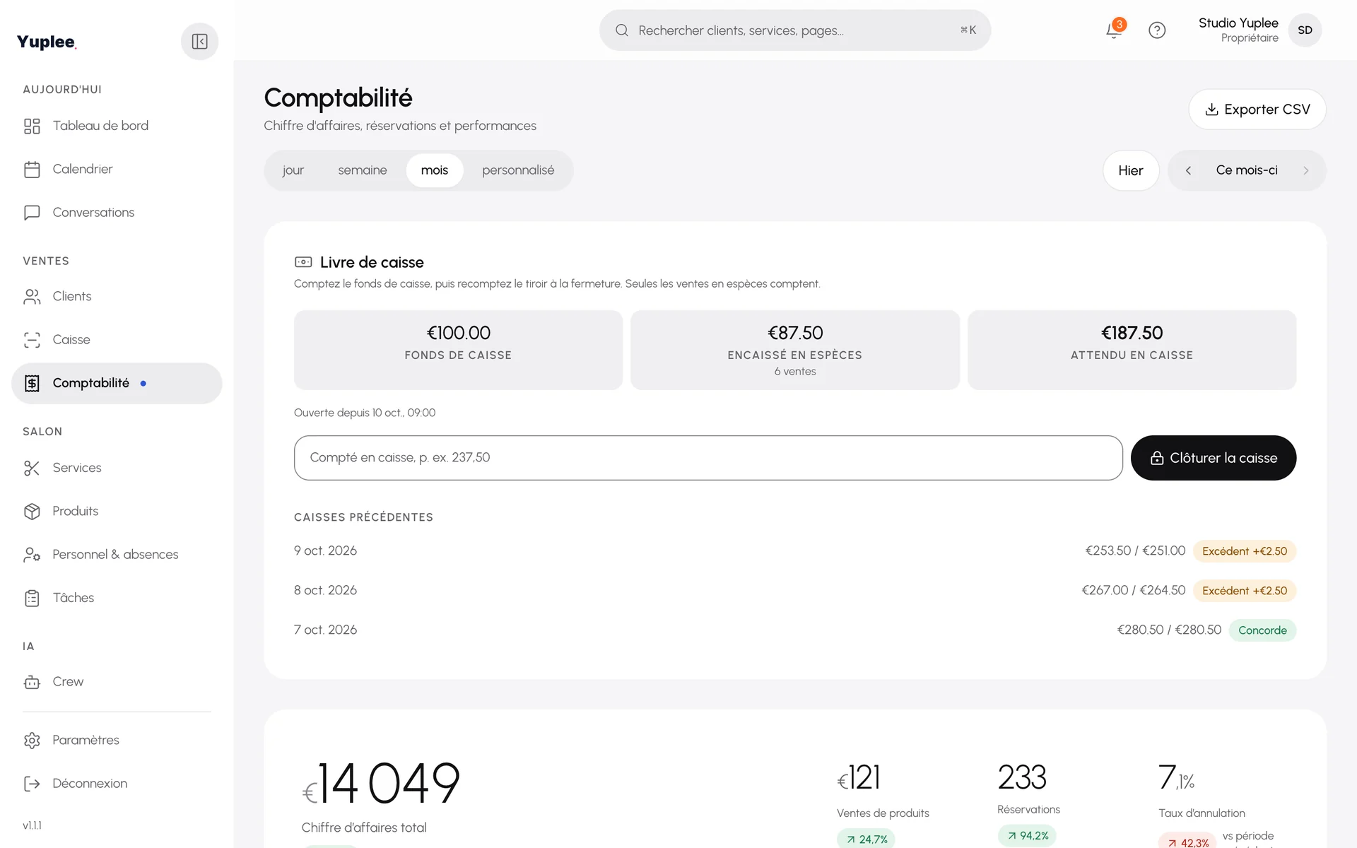 Comptabilité avec livre de caisse et chiffre d'affaires